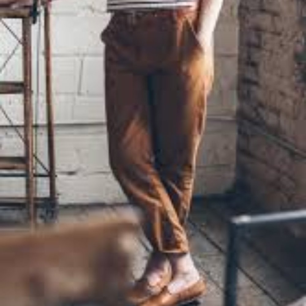 RARE Taylor Stitch WOMENS Chore Pant